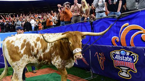 Texas mascot Bevo, a steer, charges Georgia mascot Uga, a dog, before game | Fox News