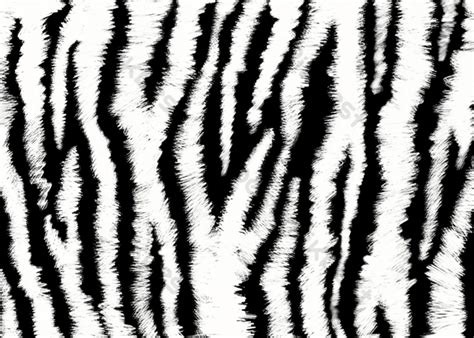 Black White Stripes Abstract Texture Tiger Stripe And Background | PSD ...