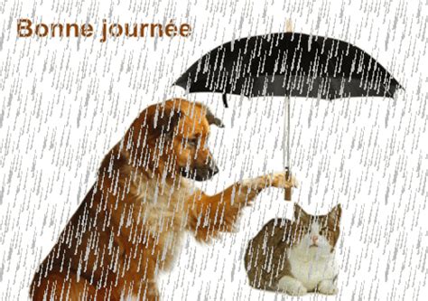 ♥♫♥☼♥ BONNE JOURNEE ,SOUS LA PLUIE