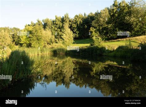 Fishing lake, Wood Farm Caravan Park, Charmouth Stock Photo - Alamy