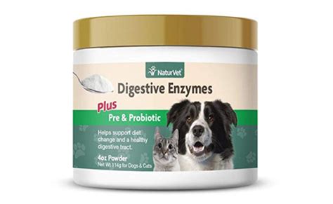 The Best Probiotics for Your Cat (Review) in 2021 | My Pet Needs That