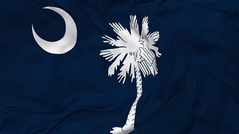 State of South Carolina Flag Seamless Looping Background, Looped Bump ...