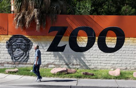 Officials moving animals out of Las Vegas zoo | Local Las Vegas | Local