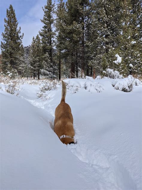 A Peaceful Snow Play Experience in Big Bear Lake California - The Hungry Mountaineer