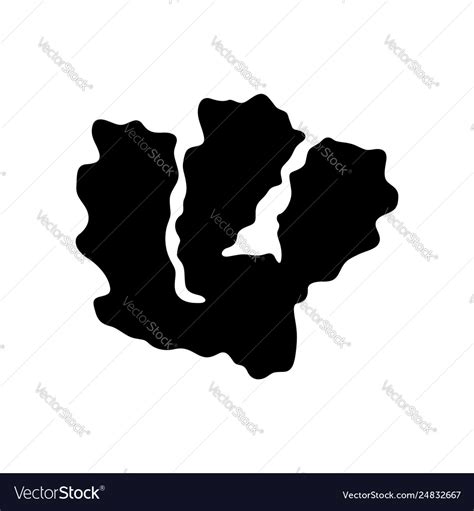 Ginger Royalty Free Vector Image - VectorStock