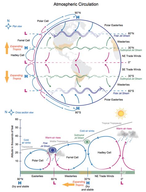 Climate Signals | Infographic: General Circulation of the Atmosphere