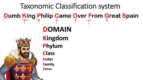 Taxonomic Classification System Mnemonics Animal Kingdom, 45% OFF