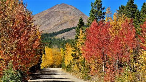 Your ultimate guide for Colorado's fall colors