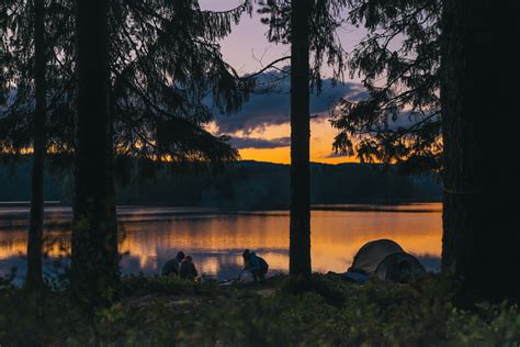 people camping with a gold sunset through forest trees at a tranquil ...