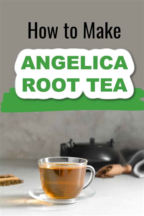 Angelica Root Tea - Steeped Street