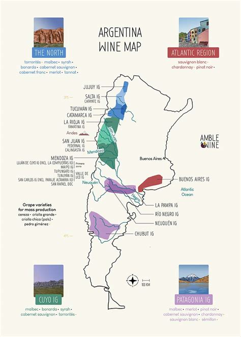 Argentina wine map – Amble Wine