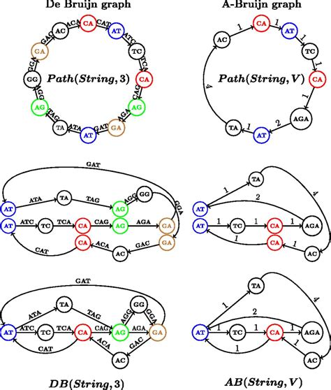 Assembly of long error-prone reads using de Bruijn graphs | PNAS