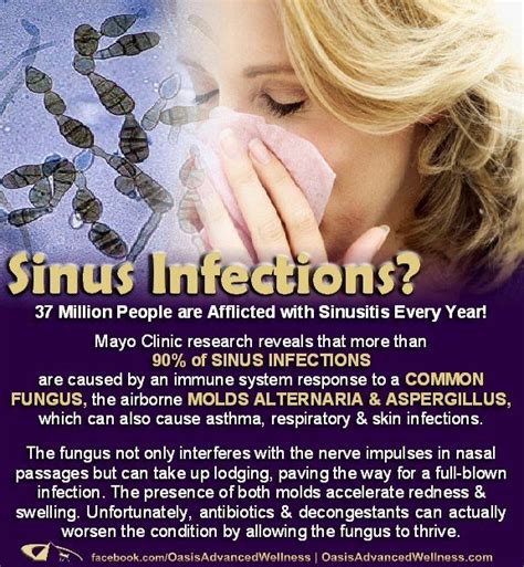 Sinus infection keeps coming back after antibiotics