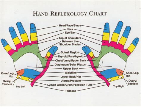 High Resolution Printable Hand Reflexology Chart