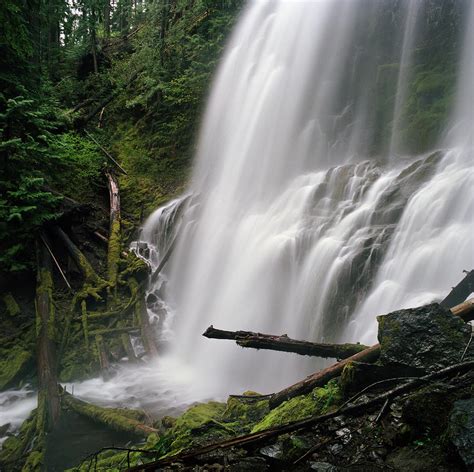 Wide Waterfall In Lush Forest by Danielle D. Hughson