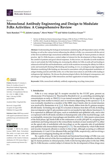 (PDF) Monoclonal Antibody Engineering and Design to Modulate FcRn Activities: A Comprehensive Review