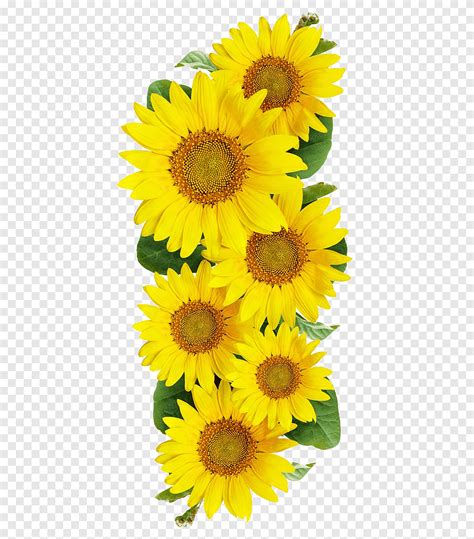 Total 73+ imagen girasol clipart - Abzlocal.mx