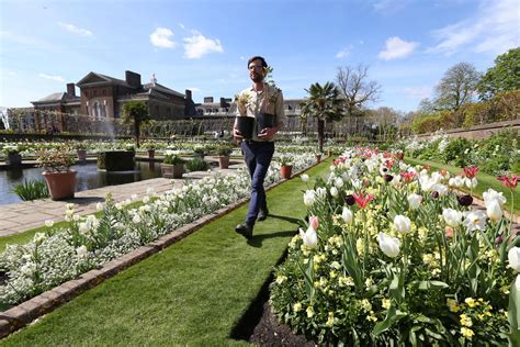 Princess Diana memorial garden opened at Kensington Palace to mark 20th ...