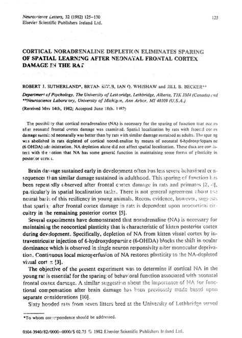 Cortical noradrenaline depletion eliminates sparing of spatial learning ...