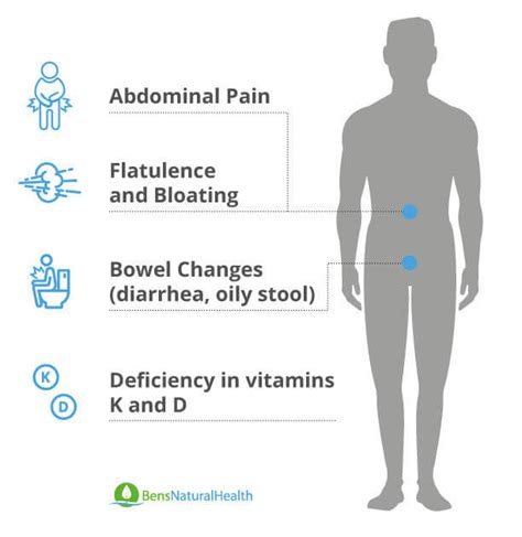 √70以上 exocrine pancreatic insufficiency poop 847963-Exocrine pancreatic ...