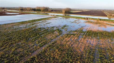 River Welland has burst banks between Cowbit and Crowland