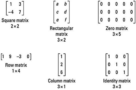 Identifying Types of Matrices - dummies