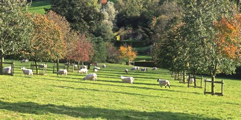 An exclusive day in an inspiring Devon garden - Garden Museum