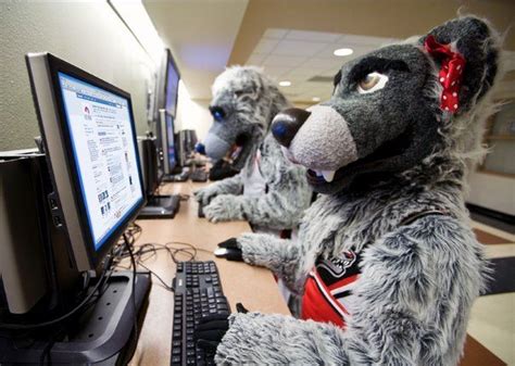 Lobo Louie & Lucy | University of new mexico, The university of new ...