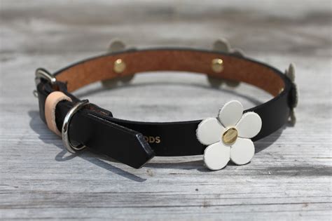 Leather Dog Collar With Flowers - Etsy