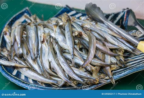 Capelin fresh fish stock image. Image of object, nutrition - 69585317