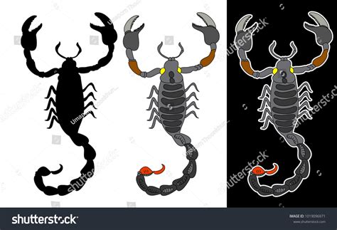 Black White Drawing Scorpion Vector Illustrationscorpion Stock Vector (Royalty Free) 1019096971 ...