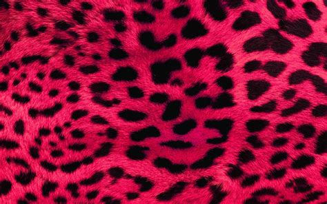 10 New Leopard Print Wallpaper Hd FULL HD 1080p For PC Background 2024