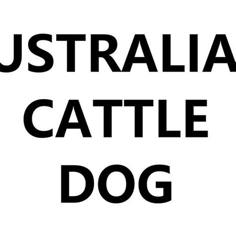 australian cattle dog name | Dog names, Australian cattle dog, Cattle dog