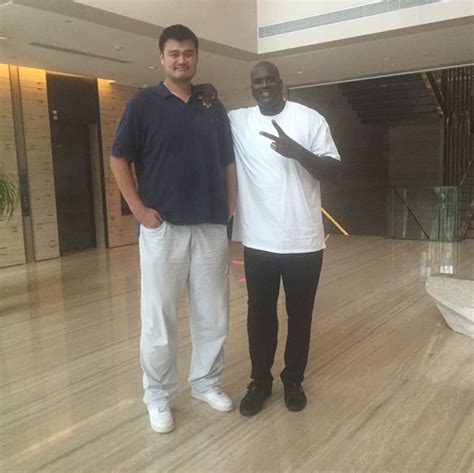 Yao Ming Height: How Tall is The Chinese Professional Basketball Player ...