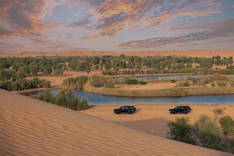 Desert Conservation Wildlife Drive & Breakfast At Al Maha Resort