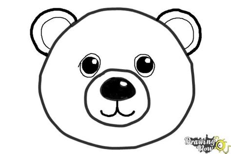 How to Draw a Bear Face