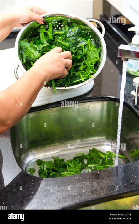 Spinach, The legend of the high iron content Stock Photo - Alamy