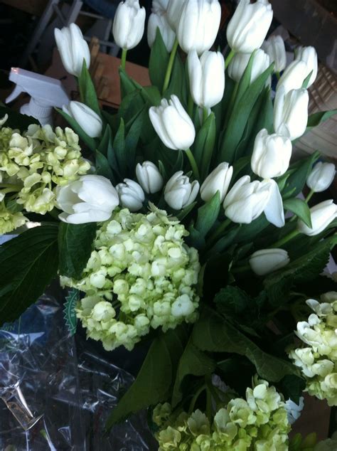 Green and white | White flowers, Green, Plants