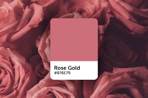 rose gold - Picsart Blog