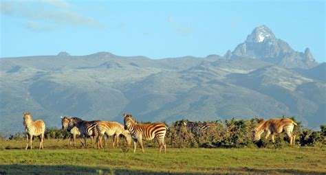 Mount Kenya National Park | Maasai Mara National Reserve