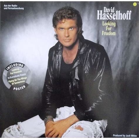 David Hasselhoff Wikipedia