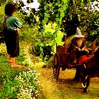 Gandalf and Frodo - Gandalf Icon (36837216) - Fanpop