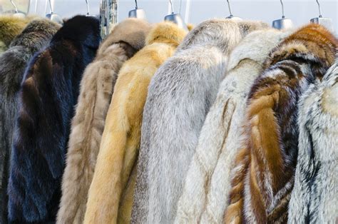 Used Fur Coats Toronto - Tradingbasis