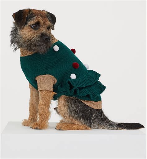 Dog Christmas outfits that you'll love dressing your pooch in