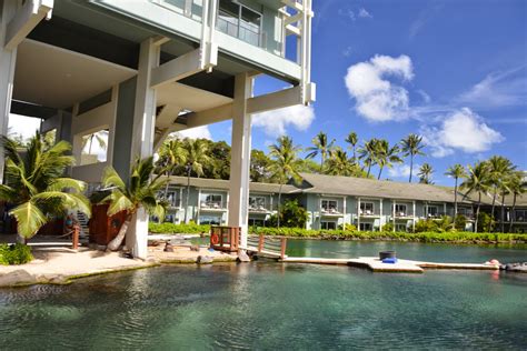 Honolulu Weddings: Kahala Resort Dolphin Pools