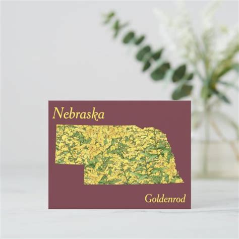 Nebraska State Flower Collage Map Postcard | Zazzle