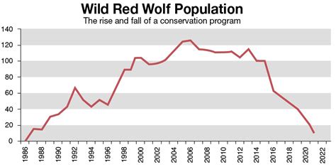 The Collapse of Wild Red Wolves Is a Warning That Should Worry Us All | The Nation