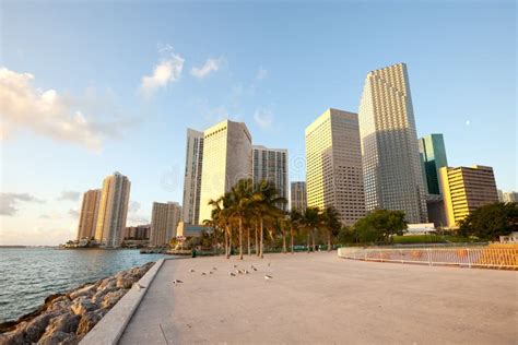 Bayfront Park and Downtown Skyline, Miami Stock Image - Image of ...