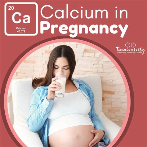 Calcium in Pregnancy | Twiniversity #1 Parenting Twins Site