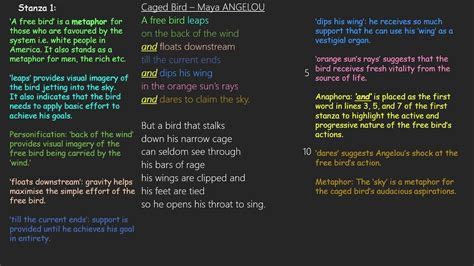 Caged Bird Poem Explained | Sitedoct.org